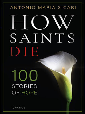 cover image of How Saints Die